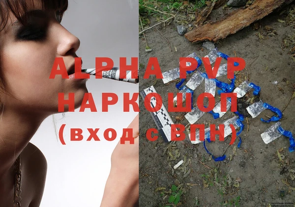 стаф Алзамай